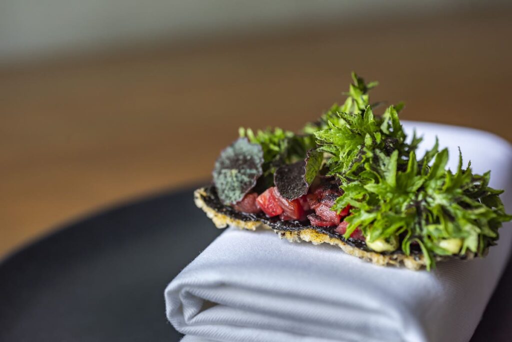 plant based cooking